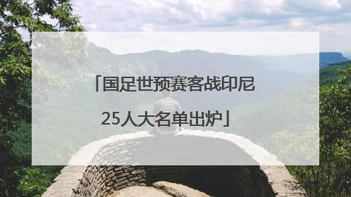 国足世预赛客战印尼25人大名单出炉