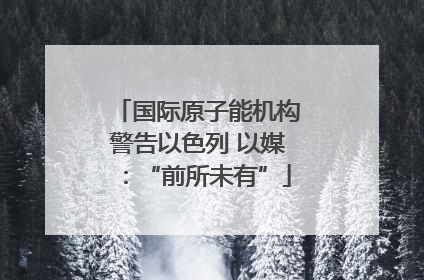 国际原子能机构警告以色列 以媒：“前所未有”