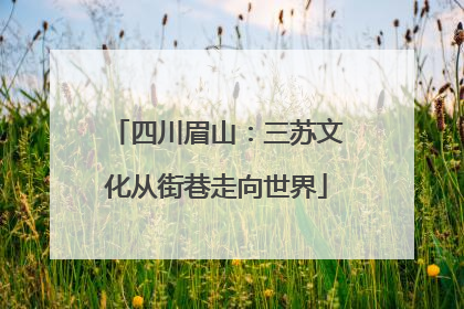 四川眉山：三苏文化从街巷走向世界