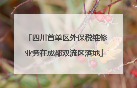 四川首单区外保税维修业务在成都双流区落地