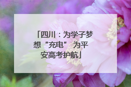 四川：为学子梦想“充电” 为平安高考护航