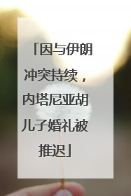 因与伊朗冲突持续，内塔尼亚胡儿子婚礼被推迟