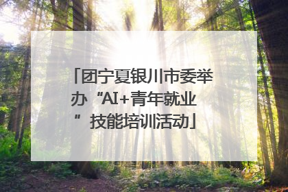 团宁夏银川市委举办“AI+青年就业”技能培训活动