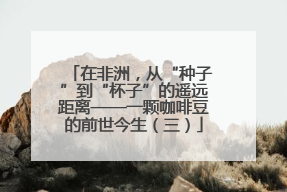 在非洲，从“种子”到“杯子”的遥远距离——一颗咖啡豆的前世今生（三）