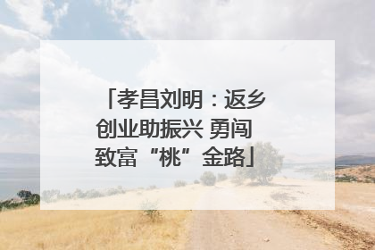 孝昌刘明：返乡创业助振兴 勇闯致富“桃”金路
