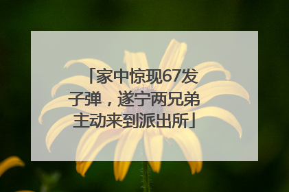 家中惊现67发子弹，遂宁两兄弟主动来到派出所
