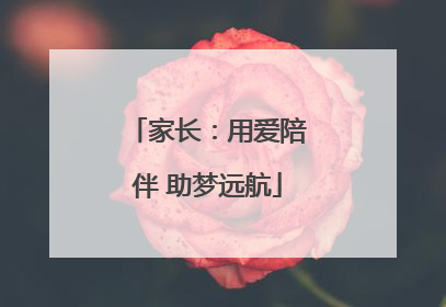 家长：用爱陪伴 助梦远航