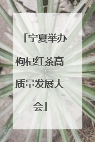 宁夏举办枸杞红茶高质量发展大会