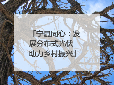 宁夏同心：发展分布式光伏 助力乡村振兴