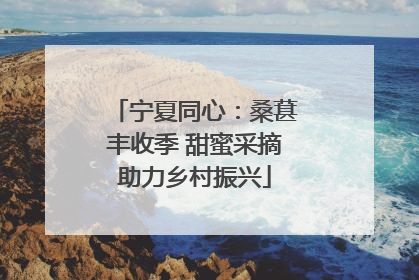 宁夏同心：桑葚丰收季 甜蜜采摘助力乡村振兴