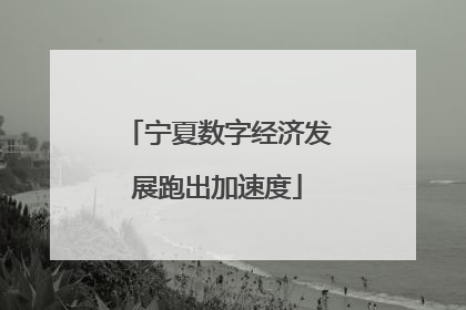 宁夏数字经济发展跑出加速度