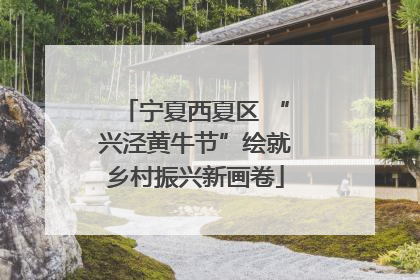 宁夏西夏区 “兴泾黄牛节”绘就乡村振兴新画卷