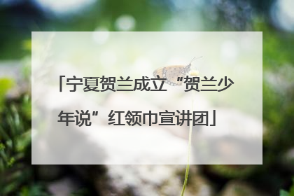 宁夏贺兰成立“贺兰少年说”红领巾宣讲团
