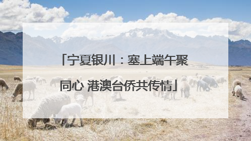 宁夏银川：塞上端午聚同心 港澳台侨共传情
