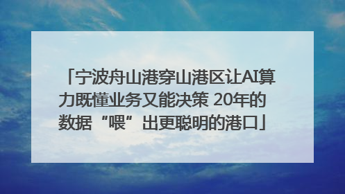 宁波舟山港穿山港区让AI算力既懂业务又能决策 20年的数据“喂”出更聪明的港口