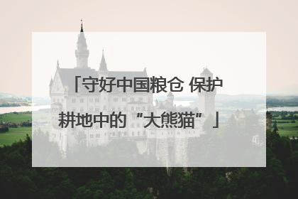 守好中国粮仓 保护耕地中的“大熊猫”