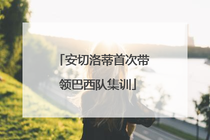 安切洛蒂首次带领巴西队集训