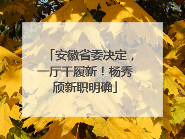 安徽省委决定，一厅干履新！杨秀颀新职明确