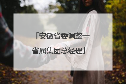 安徽省委调整一省属集团总经理