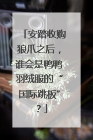 安踏收购狼爪之后，谁会是鸭鸭羽绒服的“国际跳板”？