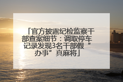 官方披露纪检监察干部查案细节：调取停车记录发现3名干部假“办事”真麻将