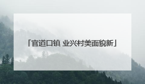 官道口镇 业兴村美面貌新