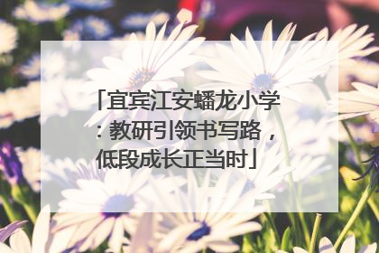 宜宾江安蟠龙小学：教研引领书写路，低段成长正当时