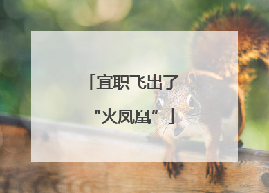 宜职飞出了“火凤凰”