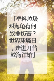 塑料垃圾对海龟有何致命伤害？世界环境日，走进开普敦海洋馆