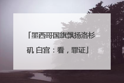 墨西哥国旗飘扬洛杉矶 白宫：看，罪证