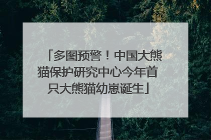 多图预警！中国大熊猫保护研究中心今年首只大熊猫幼崽诞生