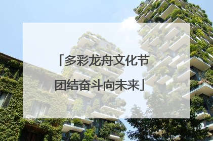 多彩龙舟文化节 团结奋斗向未来