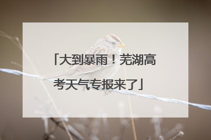 大到暴雨！芜湖高考天气专报来了