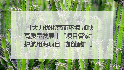 大力优化营商环境 加快高质量发展丨“项目管家”护航用海项目“加速跑”
