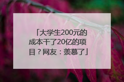 大学生200元的成本干了20亿的项目？网友：羡慕了