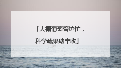 大棚葡萄管护忙，科学疏果助丰收
