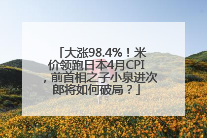 大涨98.4%！米价领跑日本4月CPI，前首相之子小泉进次郎将如何破局？