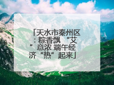 天水市秦州区：粽香飘 “艾”意浓 端午经济“热”起来