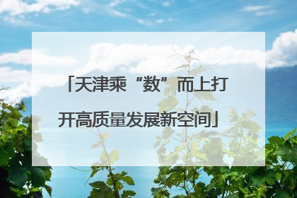 天津乘“数”而上打开高质量发展新空间