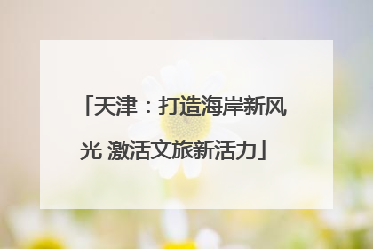 天津：打造海岸新风光 激活文旅新活力