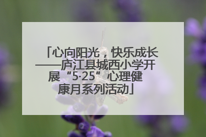 心向阳光，快乐成长——庐江县城西小学开展“5·25”心理健康月系列活动