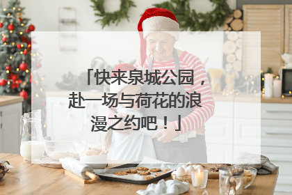 快来泉城公园，赴一场与荷花的浪漫之约吧！