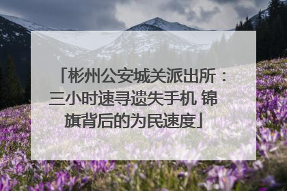 彬州公安城关派出所：三小时速寻遗失手机 锦旗背后的为民速度