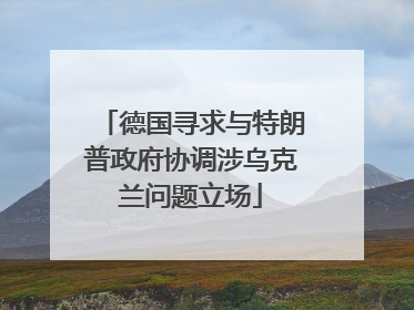 德国寻求与特朗普政府协调涉乌克兰问题立场