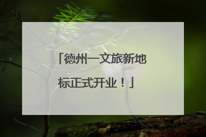 德州一文旅新地标正式开业！