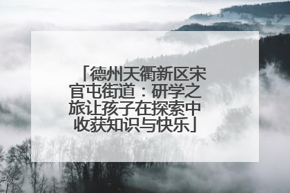 德州天衢新区宋官屯街道：研学之旅让孩子在探索中收获知识与快乐
