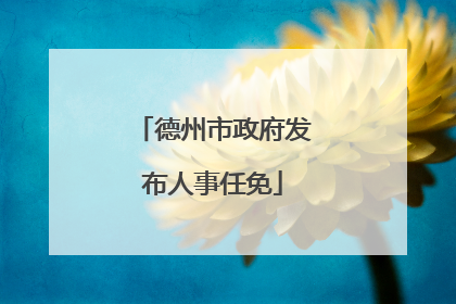 德州市政府发布人事任免