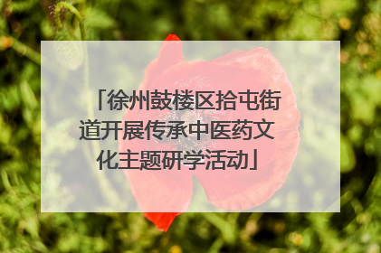 徐州鼓楼区拾屯街道开展传承中医药文化主题研学活动