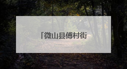 微山县傅村街道赴驩城镇开展观摩学习活动