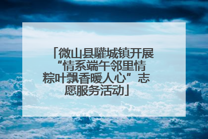 微山县驩城镇开展“情系端午邻里情 粽叶飘香暖人心”志愿服务活动